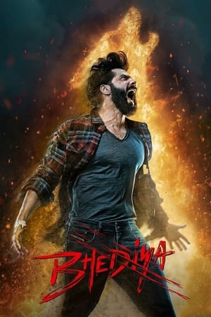 Bhediya 2022 Hindi Movie – Bhediya 2022 Hindi Movie –