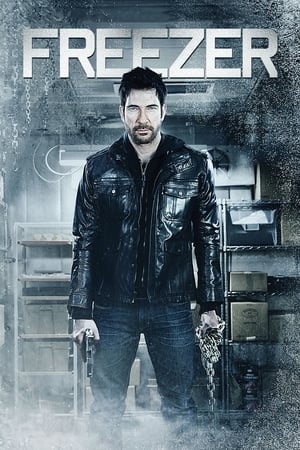 Freezer (2014) Hindi Dual Audio 250MB Freezer (2014) Hindi Dual Audio 250MB