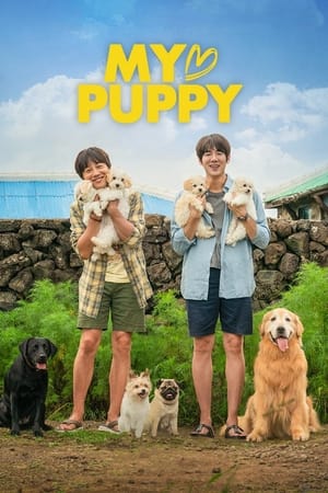 My Heart Puppy (2022) Hindi Dual Audio – My Heart Puppy (2022) Hindi Dual Audio –