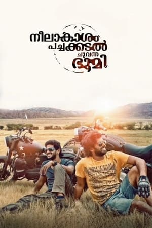 Neelakasham Pachakadal Chuvanna Bhoomi (2013) Hindi Dubbed 450MB Neelakasham Pachakadal Chuvanna Bhoomi (2013) Hindi Dubbed 450MB