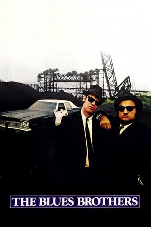 The Blues Brothers (1980) Hindi Dual Audio 450MB ESubs The Blues Brothers (1980) Hindi Dual Audio 450MB ESubs