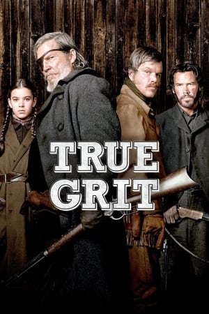 True Grit (2010) Hindi Dual Audio 350MB True Grit (2010) Hindi Dual Audio 350MB